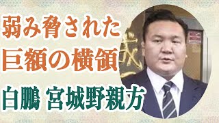 白鵬 宮城野親方「俺を怒ると秘密を暴露するぞ」弱み握られ止めれなかった北青鵬の暴行…さらには巨額の横領で宮城野部屋の組織崩壊に驚愕！？