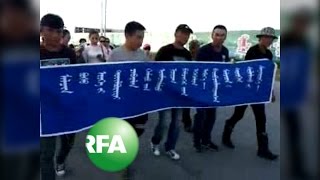 Herders Stage Rare Protest in Inner Mongolia