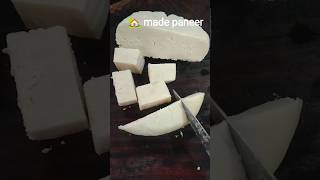 Home made paneer recipe #ytshort#lets cook and vlog with shital