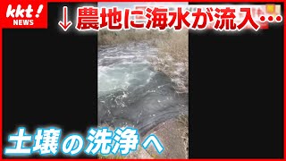 【工事の不手際】田畑に海水が流入し農業被害…熊本県が謝罪　これからどうなる？