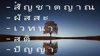 สัญชาตญาณ ความรู้ ผัสสะ🧘🧘🧘  #ท่านพุทธทาสภิกขุ