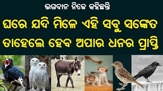 ଘର ପାଖରେ ଯଦି ଦେଖାଯାଏ ଏହି ସବୁ ଜୀବ ଜନ୍ତୁ | ମିଳିବ ଅପାର ଧନ | ଘର ପାଇଁ ଶୁଭ ସଂକେତ | Odia Bohu