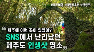 제주에 이런 곳이 있었어? 인생샷 나오는 숨은 명소📸