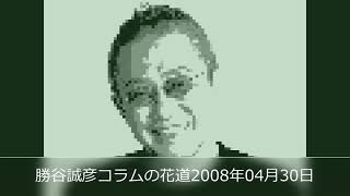 勝谷誠彦コラムの花道2008年04月30日