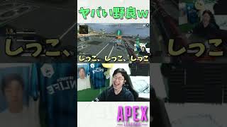 味方にヤバすぎる奴が来たｗｗｗ【APEX/marunnn】#shorts