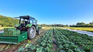 Gemüsebau Frühjahr 2021 auf dem Demeter Hof Büsch