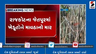 Rajkot ના Jetpur માં ખેડૂતોને માવઠાનો માર ॥ Sandesh News TV | Cyclone Tauktae