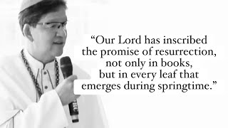 Wednesday of the 9th Week in Ordinary Time | Mark 12:18-27