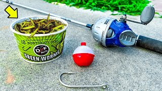 Fishing w/ GREEN Live Worms for WHATEVER Bites!