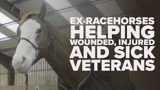 RACEHORSES HELPING VETERANS | HorseBack UK