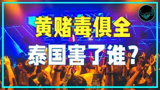 擦边引诱、赌场合法、大麻滥用，五毒俱全的泰国迫害了谁？｜投研双杰