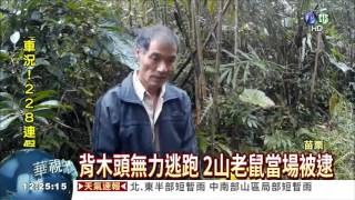 帶山老鼠山區模擬 再逮2共犯