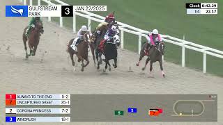 Gulfstream Park January 22, 2025 Race 3