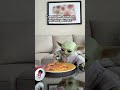 me quedo sin comida y sin película 😠 humor meme babyyoda peliculas