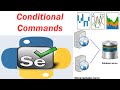 11 Selenium with  Python --- Conditional Commands (part-1)