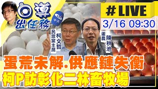 【白導出任務 #LIVE】蛋荒未解.供應鏈失衡 柯P訪彰化二林畜牧場聆聽蛋農心聲20230316@中天新聞CtiNews