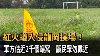 紅火蟻入侵龍岡操場　軍方估近2千個蟻窩－民視新聞