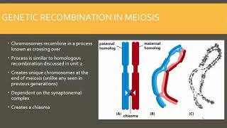 CWI TR Cell Biol C19 Part 1   Fall 2017