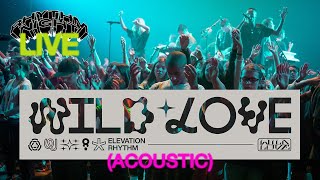 Wild Love (Acoustic) | Live at Rhythm Night