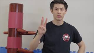 Beginner Kung Fu Workout Exercises | Punching and Moving Wing Chun | 10 Minute | Routine #1