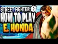 Street Fighter 6 - How To Play E. HONDA (Guide, Combos, & Tips)