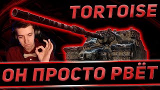 КАК ЖЕ ОН ХОРОШ. КЛУМБА НА TORTOISE + ЛБЗ НА КРИТЫ