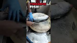 Amazing Threadfin Fish Clean Skill#youtubeshorts #youtube #shorts #short #shortsvideo