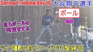 ライブBPをする前にケージでバッティング練習【大谷翔平選手】～スプトレ Day 16～Shohei Ohtani 2025  Spring Training Day 16