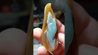 佛手瓜形似“佛手”，“佛手”的谐音又为“福寿”,#寶石 #翡翠 #jade #天然翡翠 #玉石 #玉 #shorts #抛光#玉石抛光