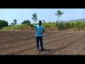 srt saguna rice technology bbf raised beds