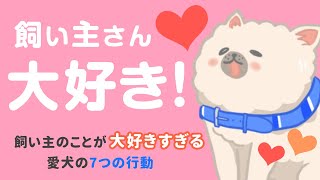 飼い主を好きすぎる愛犬によく見られる7つの行動