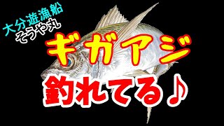 つれつり海賊版vol.2ギガアジ釣れてる♪inそうや丸