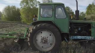 ЮМЗ в справі🚜 Дискуємо стерню, трактор звір 💪🇺🇦