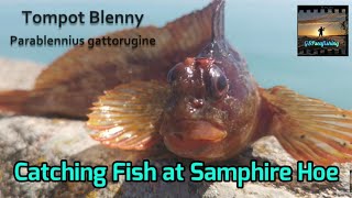 Sea Fishing UK | Catching Lots of Fish at Samphire Hoe, Dover, Kent