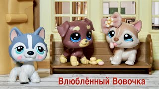 LPS: ВЛЮБЛЁННЫЙ ВОВОЧКА  ( смешные ситуации в школе)