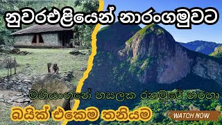 රෑ නැවතුන තැනනම් පිස්සුවක් / නුවරඑළියෙන් නාරංගමුවට 🌿❤  / වලපනේ මහියංගනේ රනමුරේ හරහා