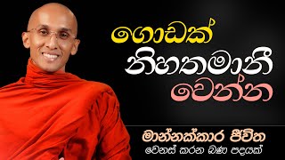 17. ගොඩක් නිහතමානී වෙන්න | ජීවිතය වෙනස් කරන බණ පදයක් | 2024-11-21