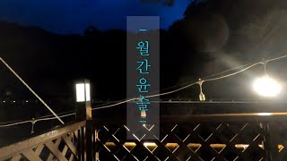 폭우가 쏟아지는 날, 방갈로에서 하룻밤!l계곡l여름휴가l다슬기l고양이(Ep.11)