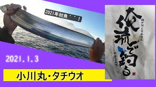 2021.1.3 初釣　大津港・小川丸　テンヤ・テンビン　タチウオ