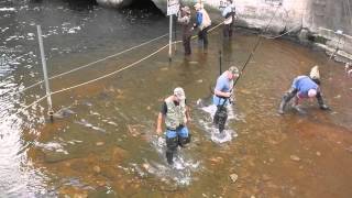 Salmon Snagging Oak Orchard Dam