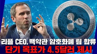 리플 CEO, 백악관 암호화폐 팀 합류…단기 목표가 4.5달러 제시