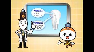 「白熱電球とハロゲン電球」アイちゃんのなるほどライティング - 岩崎電気