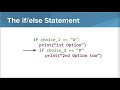 If Else Statements