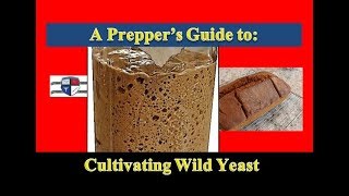 Cultivate Your Own Homemade Wild Yeast EASY [Prepper Food] [2018]