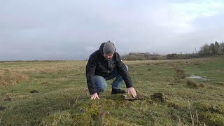 Hadrian's Wall under threat from climate change on 1900th birthday