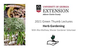 Herb Gardening with an Athens Area Master Gardener