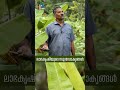 മണ്ണില്‍ പൊന്നുവിളയിക്കാന്‍ കര്‍ഷകര്‍ക്കുവേണ്ടത് സബ്‌സിഡിയല്ല