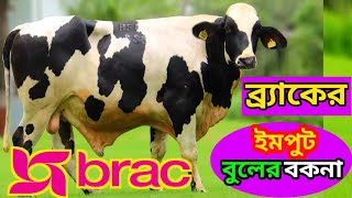 ব্র্যাকের ইমপুট বুলের বকনার দুধের রের্কড ও খামারী স্বাবলম্বী💜Brac Inport bull of Semen💙100% HF Cows