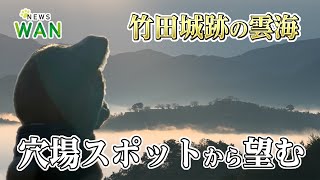 【天空の城】雲海に浮かぶ竹田城跡レポート！【日本のマチュピチュ】