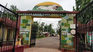 Nandankanan Zoo || India's 2nd largest Zoological Park || Jungle Safari Nandankanan Zoo Bhubaneswar